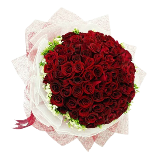 99 Roses Bouquet (HB0078)