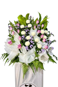Celebration of Life (CWHB55) F&H