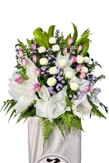 Celebration of Life (CWHB55) F&H
