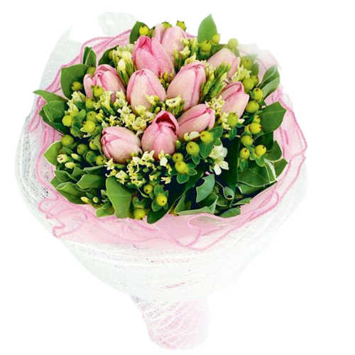 10 Tulips Bouquet (HB0085)