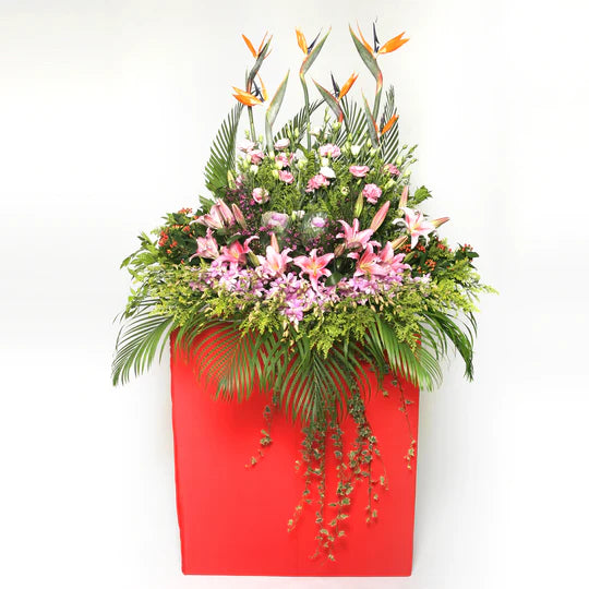 Royal Celebration (GA0022) F&H