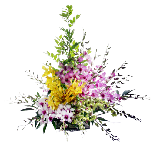 Tropical Glory Orchids Table Flower (FTA0013) F&H