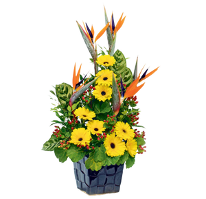 Sunshine Paradise Gerberas Table Flower (FTA0082)