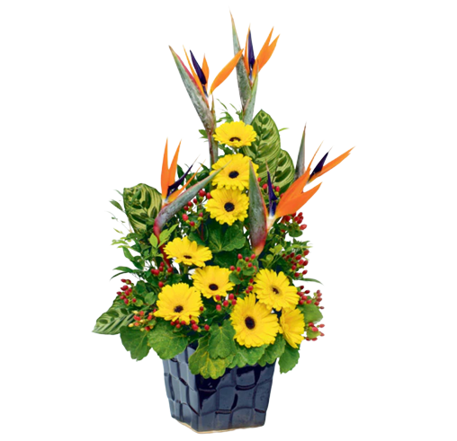 Sunshine Paradise Gerberas Table Flower (FTA0082)