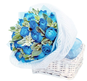 18 Blue Roses Bouquet (HB0088)