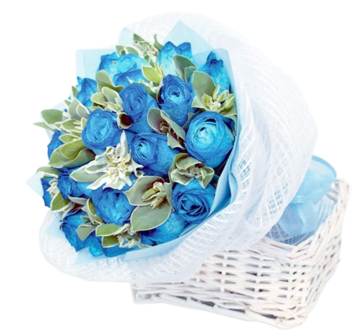 18 Blue Roses Bouquet (HB0088)