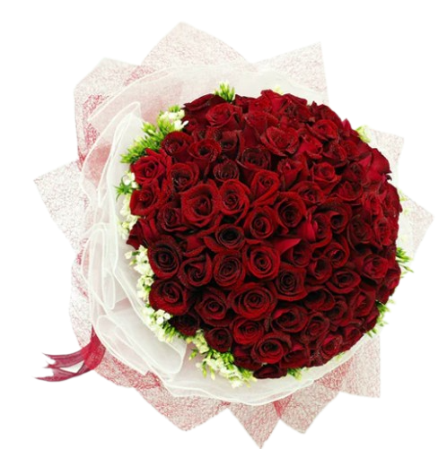99 Roses Bouquet (HB0078)