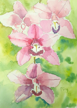 Orchid Symphony