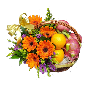 Health Booster (FB007)