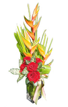 Spring Into Summer (FTA00005) F&H