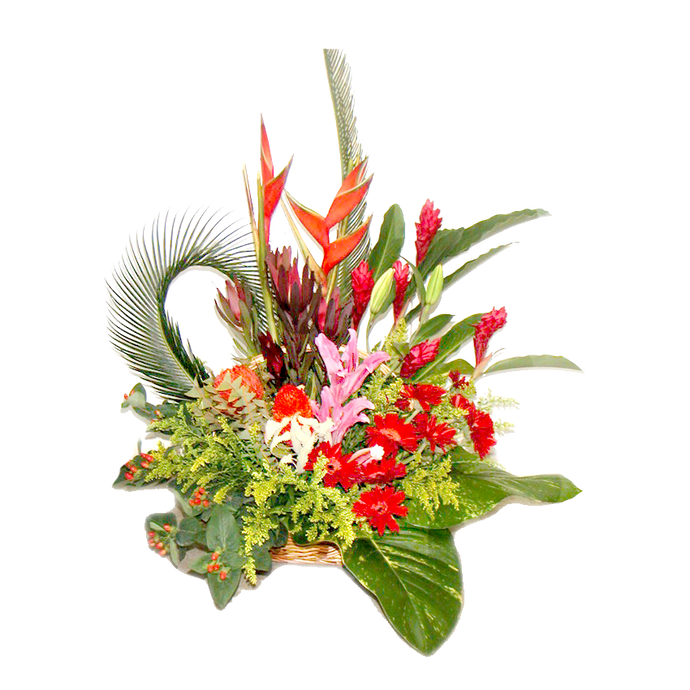 Exotic Ensemble (TF-01-005) Katong Flowershop
