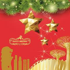 Video e-Card (XK02) Pattern