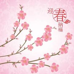 Video e-Card (CK03) Pattern